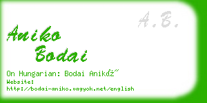 aniko bodai business card